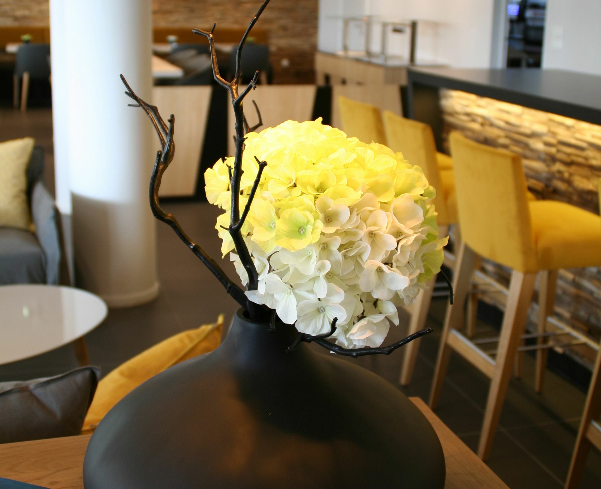 Padja Hôtel&spa 4* Vannes